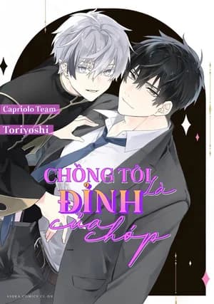 Chồng tôi là đỉnh của chóp