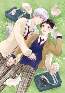 Aitai Jou to Usagi no Yamai