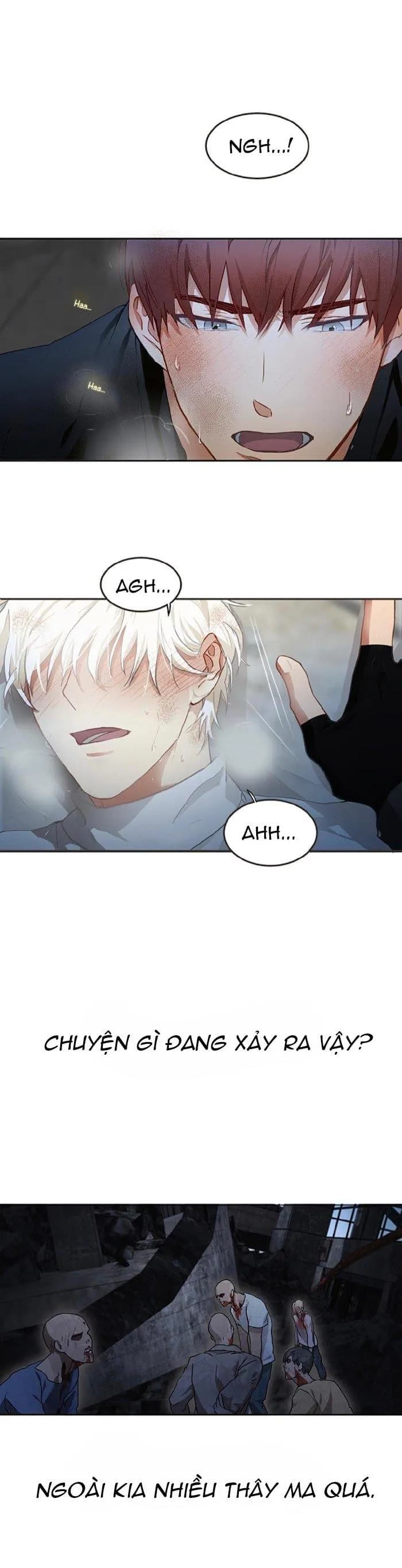 Kẻ Nói Dối Hoàn Hảo HOÀN