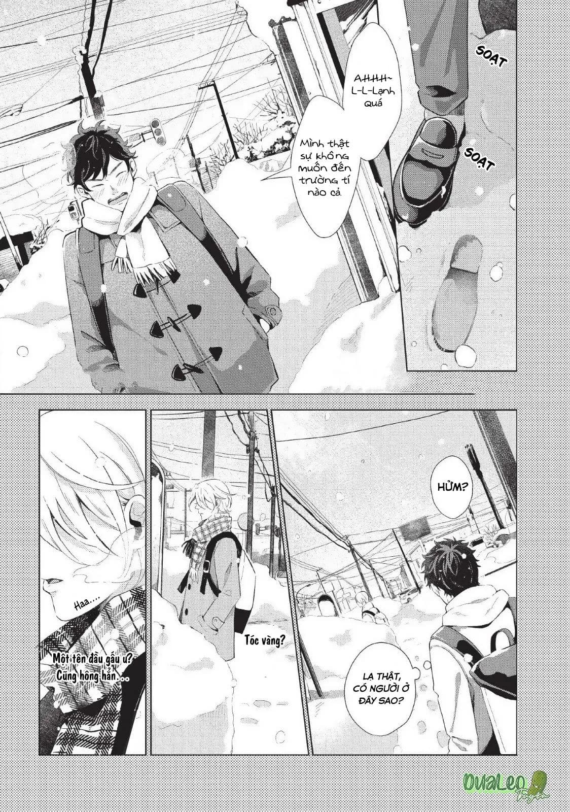 Tan Chảy Cùng Bụi Kim Cương