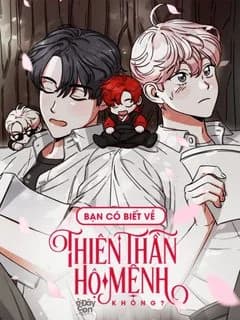 Bạn Có Biết Về Thiên Thần Hộ Mệnh Không