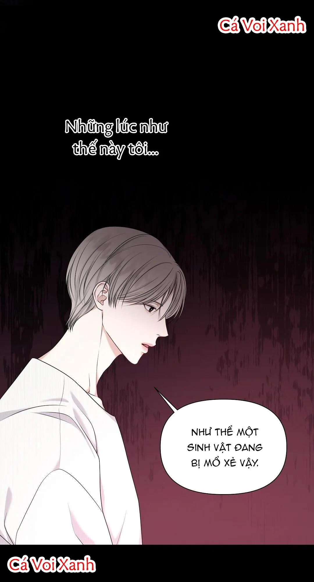 Chất liên kết Chapter 1 Trang 16