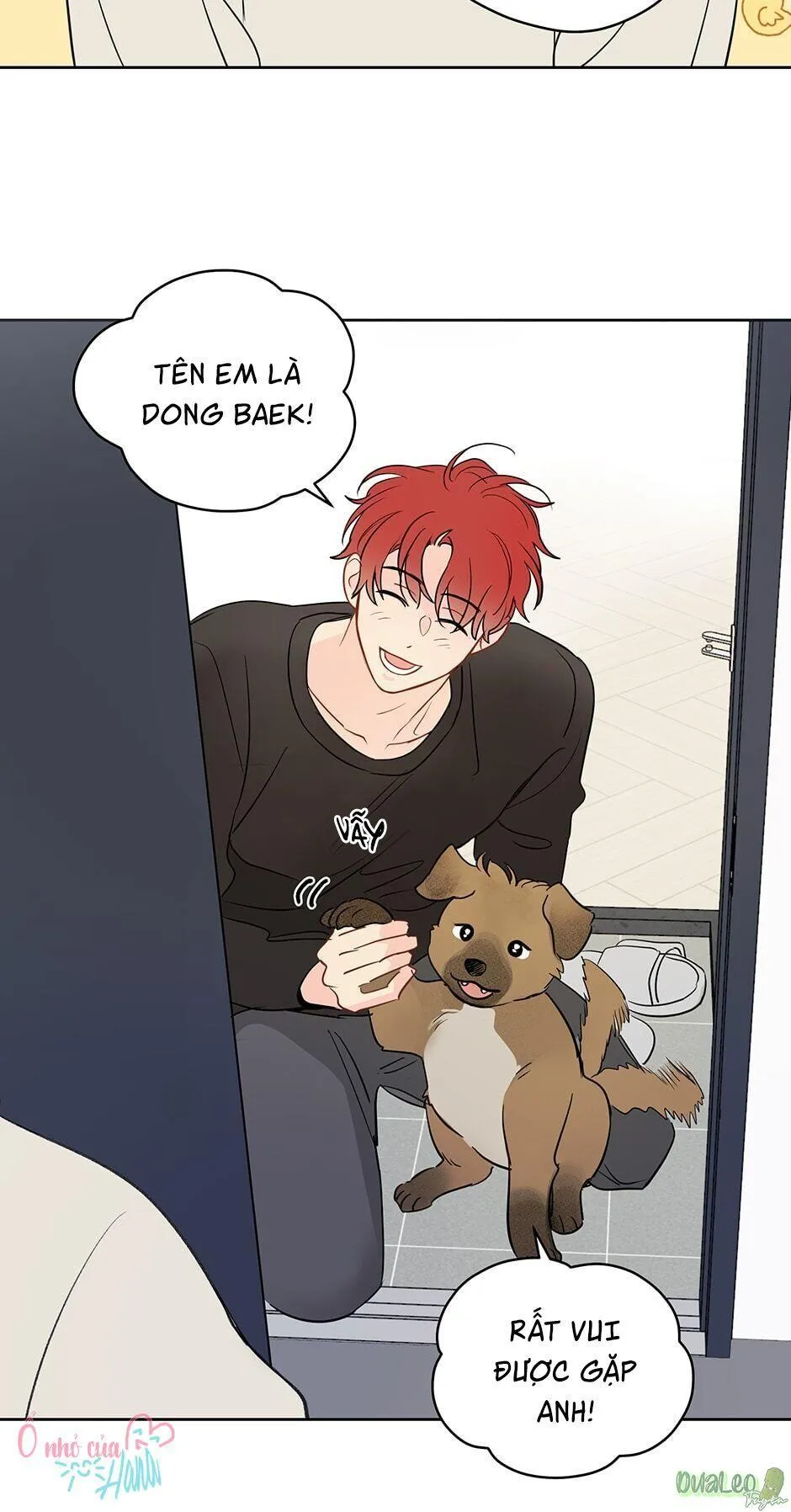 Chỉ Là Giấc Mơ Thôi Phải Không? Chapter 41 Trang 18