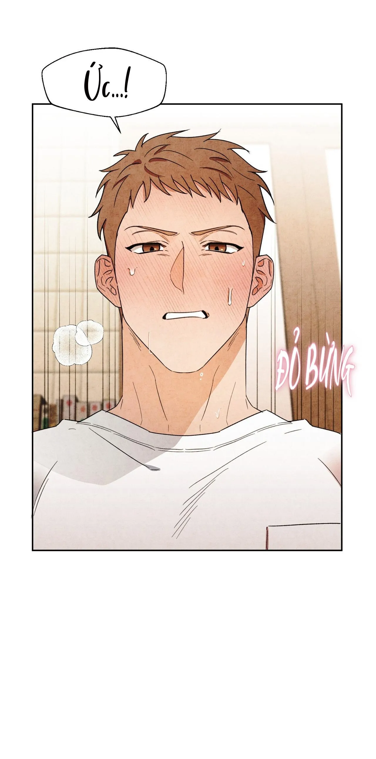 Chiếc Áo Gợi Cảm Chapter 1 Trang 3