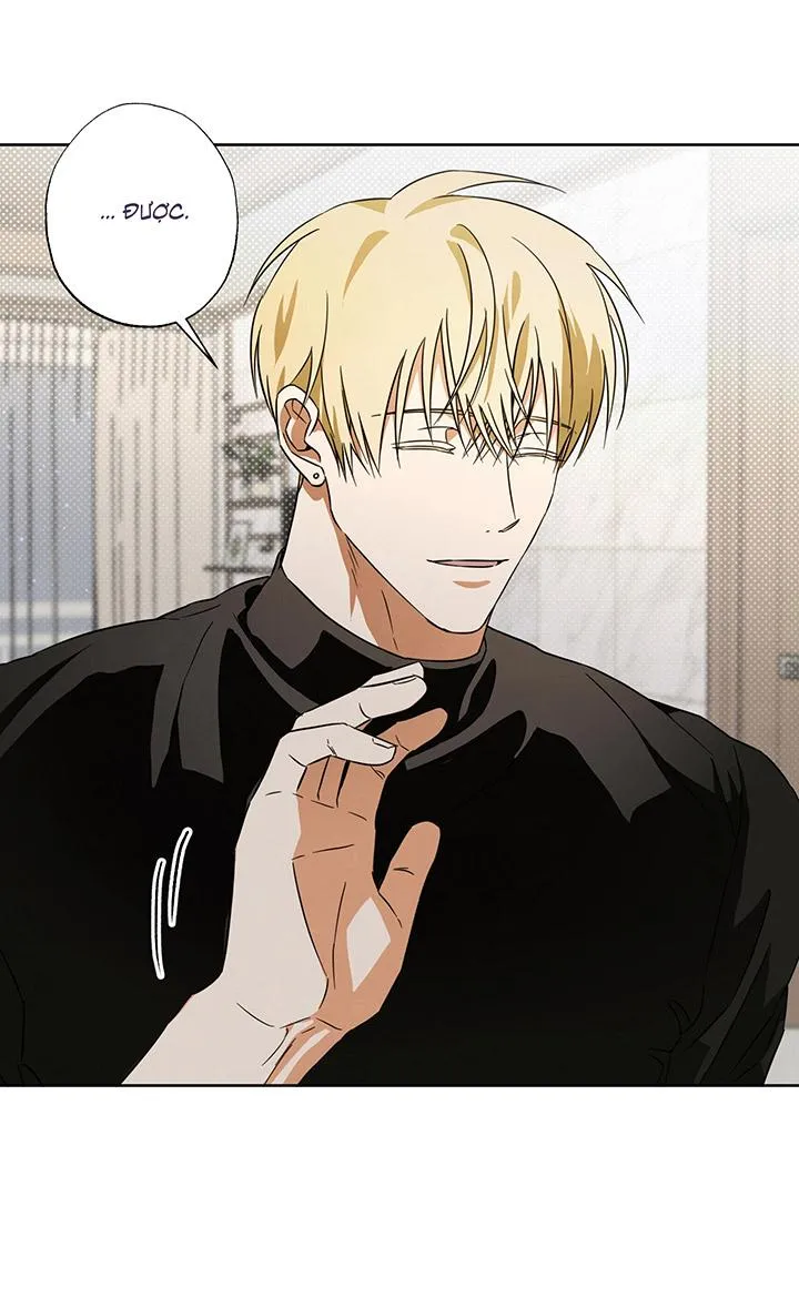 CHIẾN LƯỢC ĐOẠT TÂM CỦA CUỘC TÌNH ĐƠN PHƯƠNG Chapter 5 Trang 33