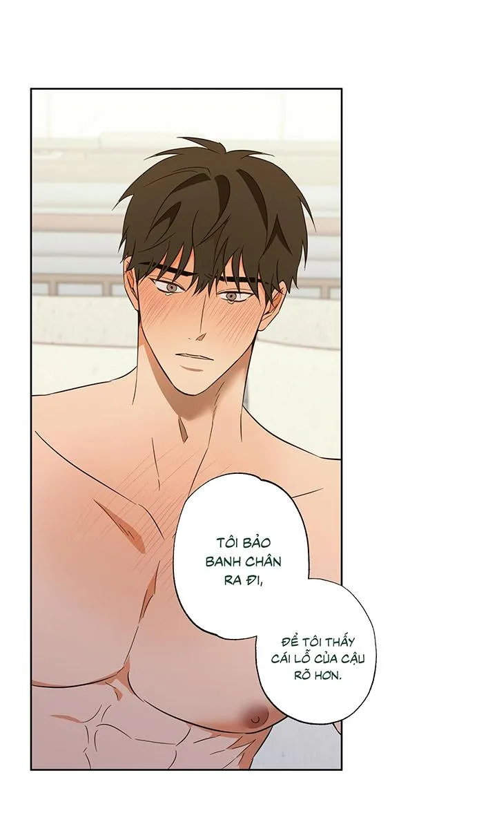 CHIẾN LƯỢC ĐOẠT TÂM CỦA CUỘC TÌNH ĐƠN PHƯƠNG Chapter 11 Trang 19