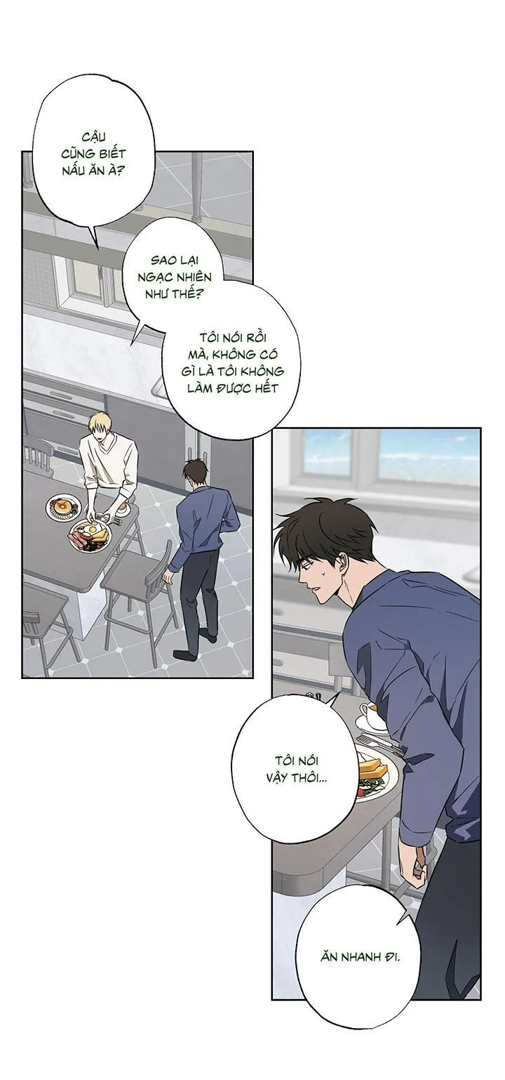 CHIẾN LƯỢC ĐOẠT TÂM CỦA CUỘC TÌNH ĐƠN PHƯƠNG Chapter 12 Trang 15