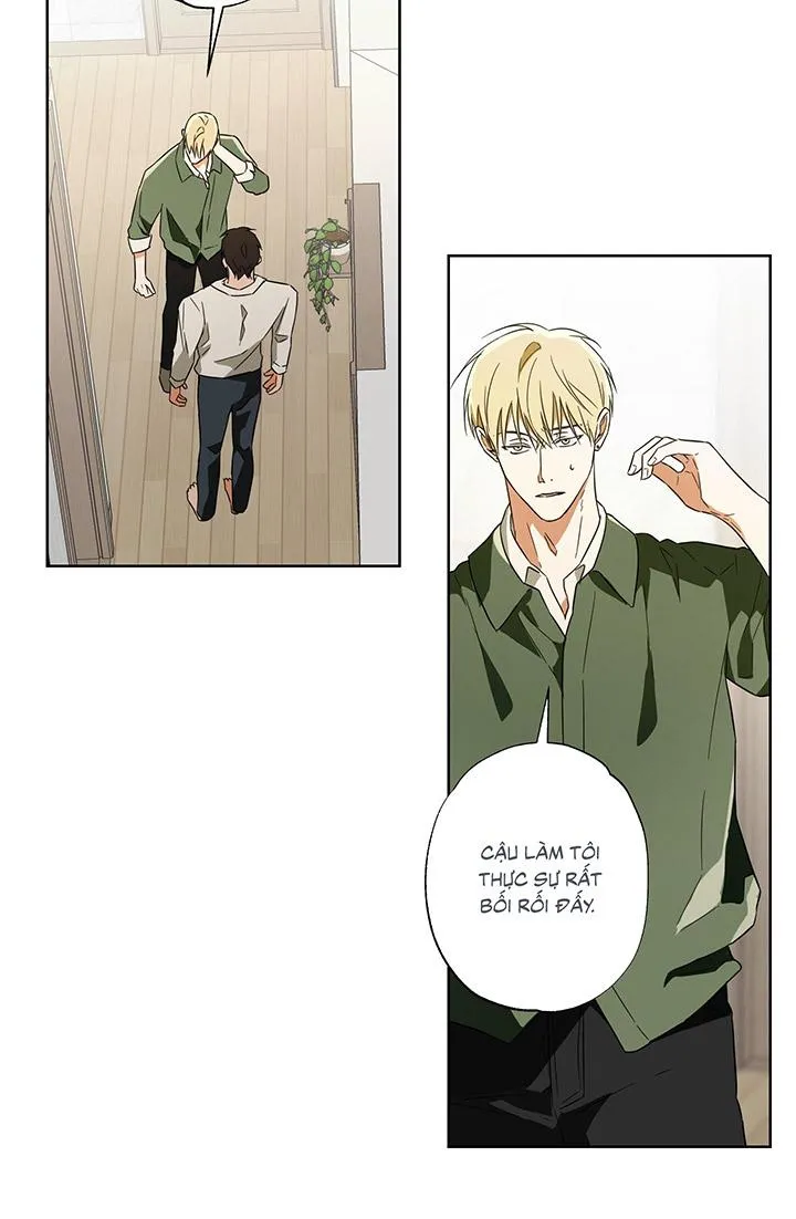 CHIẾN LƯỢC ĐOẠT TÂM CỦA CUỘC TÌNH ĐƠN PHƯƠNG Chapter 14 Trang 39