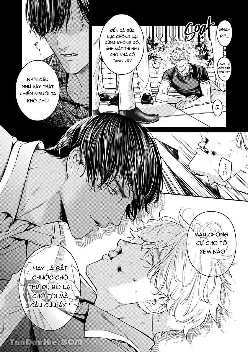 Chú Chim Bình Minh Thuần Phục Dưới Ánh Trăng Yêu Diễm Chapter 3 Trang 9