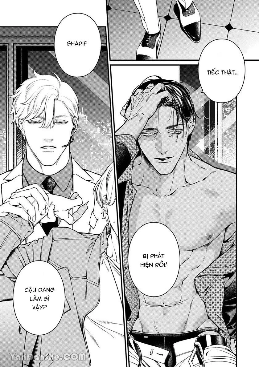 Chú Chim Bình Minh Thuần Phục Dưới Ánh Trăng Yêu Diễm Chapter 4 Trang 16