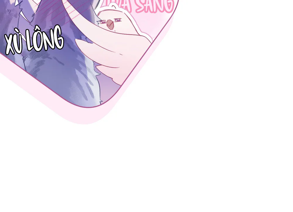 Decibel Của Nhịp Tim Chapter 7 Trang 21