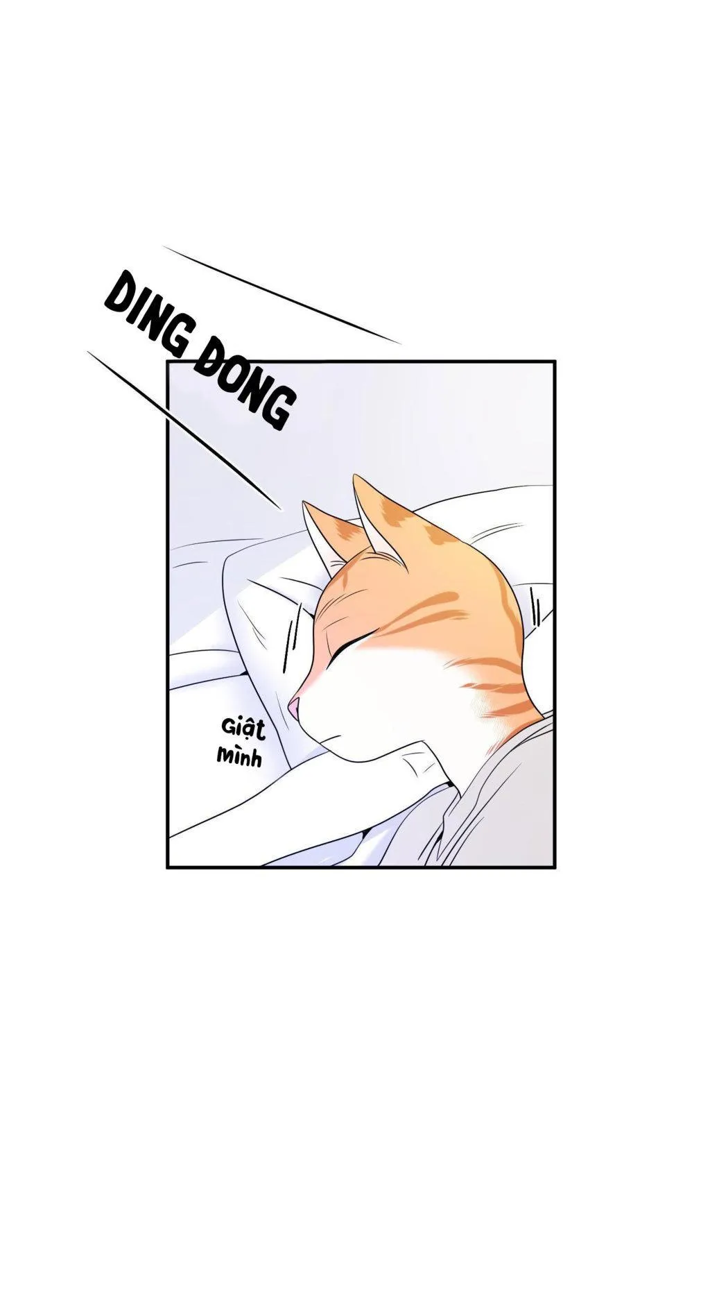 Dự Án Màu Xanh Chapter 2 Trang 17