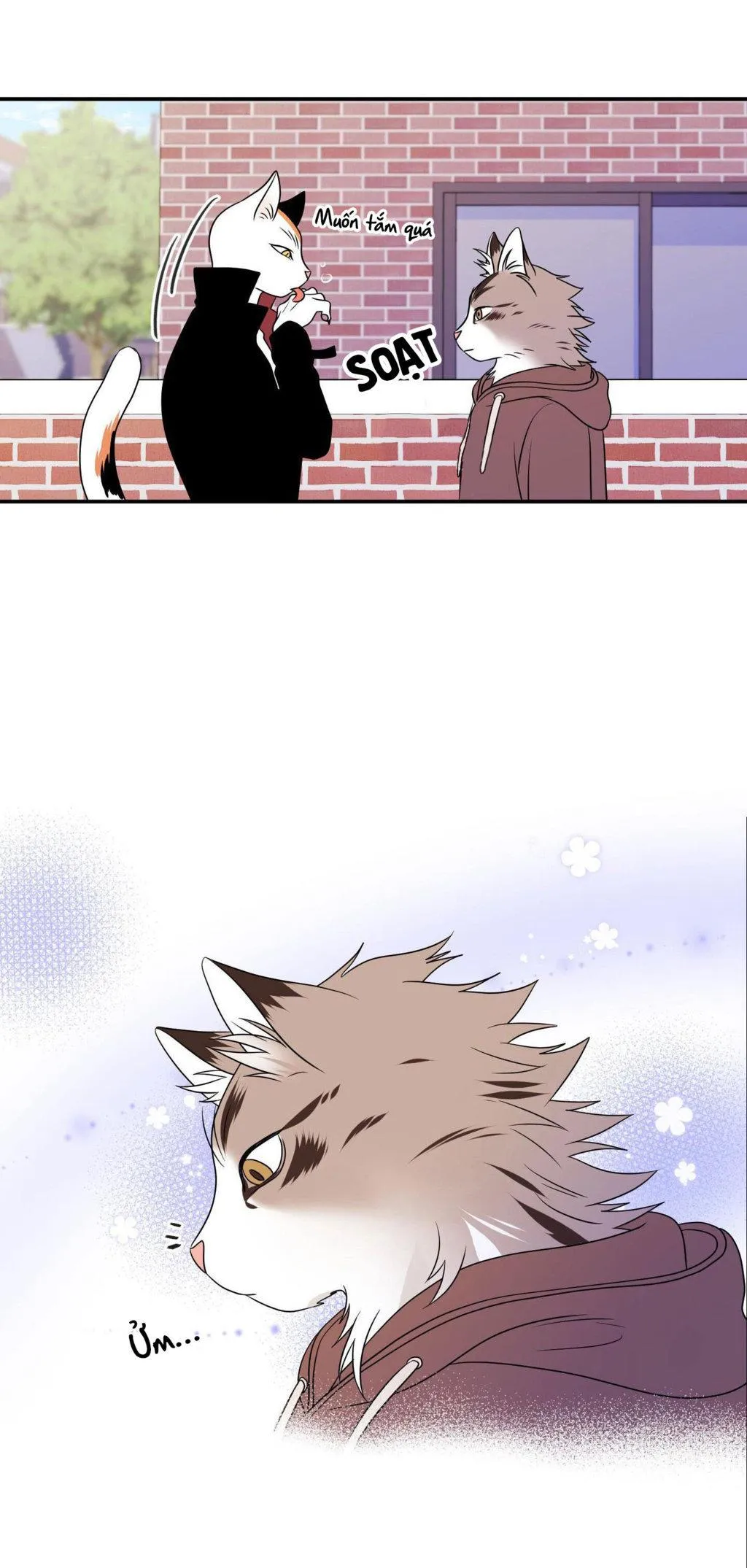 Dự Án Màu Xanh Chapter 2 Trang 36