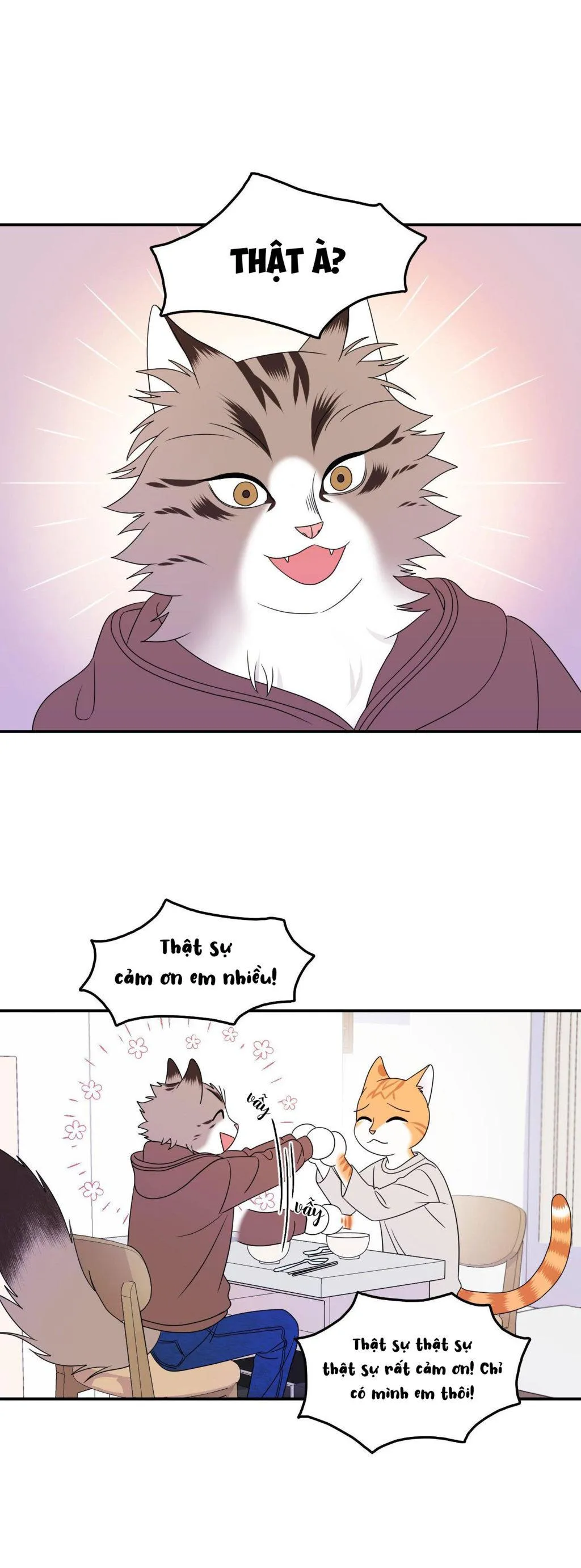 Dự Án Màu Xanh Chapter 3 Trang 14