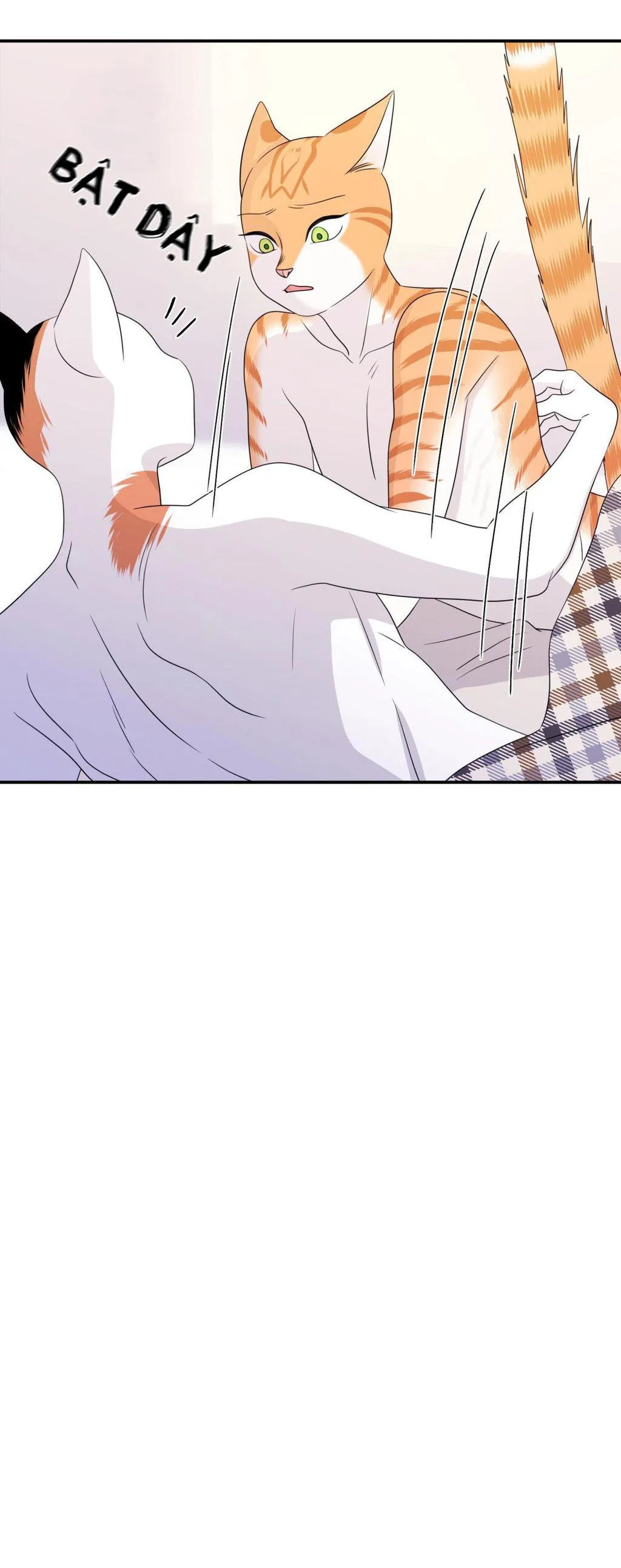 Dự Án Màu Xanh Chapter 3 Trang 52