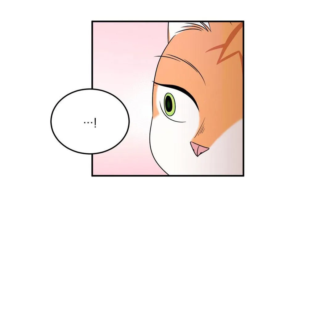 Dự Án Màu Xanh Chapter 4 Trang 42