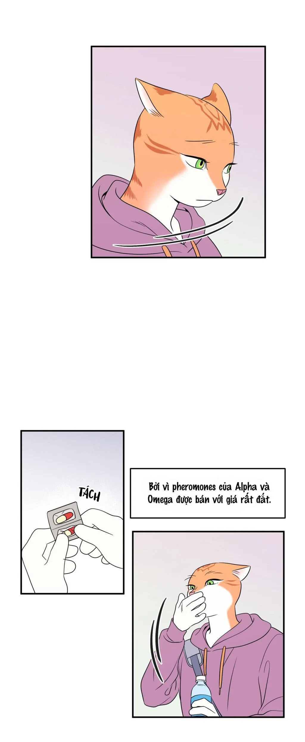 Dự Án Màu Xanh Chapter 1 Trang 3