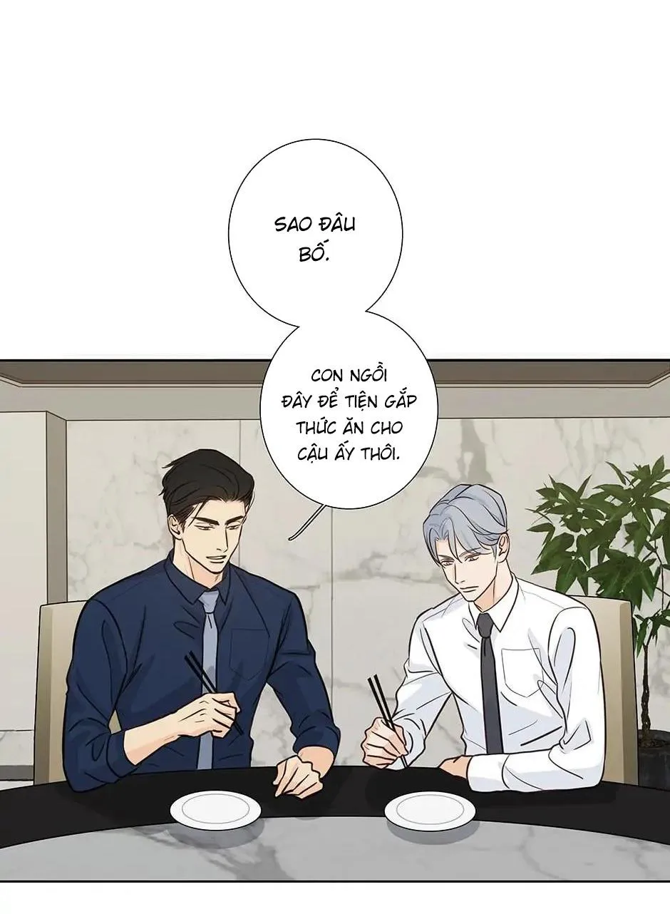 Đừng Chạm Vào Tim Tôi Chapter 59 Trang 4