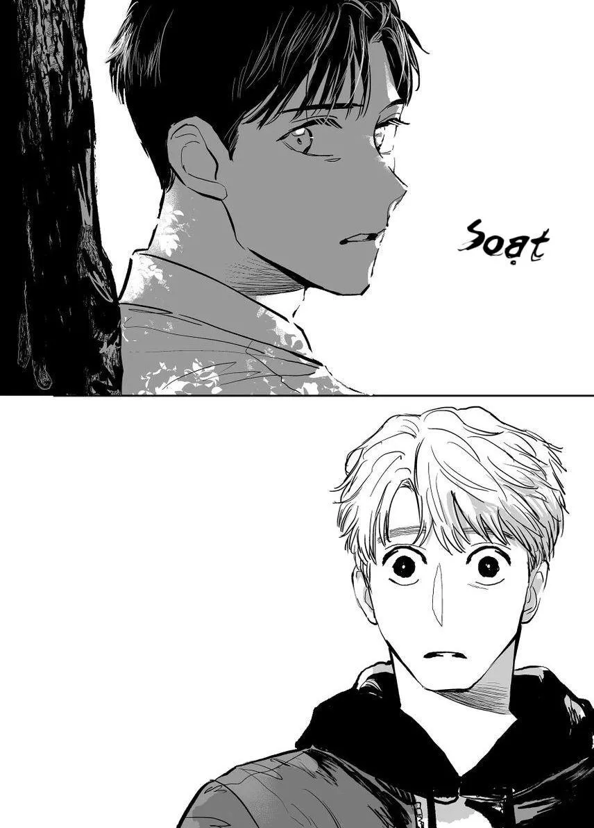 Dưỡng Hổ Vi Họa Chapter 6 Trang 19