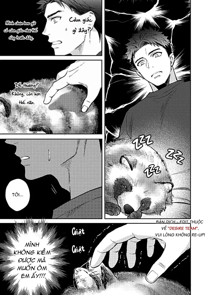 [END] Trở Thành Một Gia Đình Cùng Hai Anh Em Tanuki Chapter 2 Trang 13