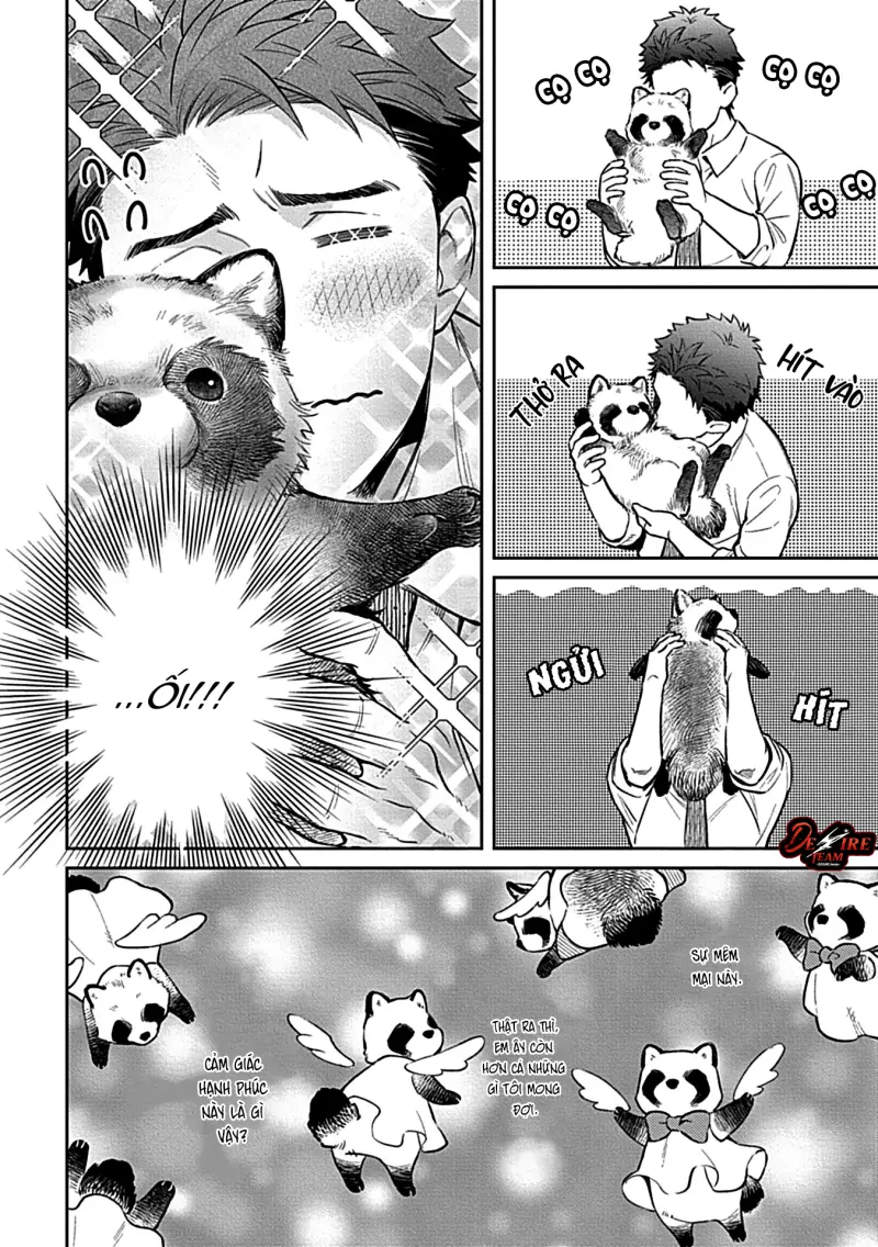 [END] Trở Thành Một Gia Đình Cùng Hai Anh Em Tanuki Chapter 4 Trang 11