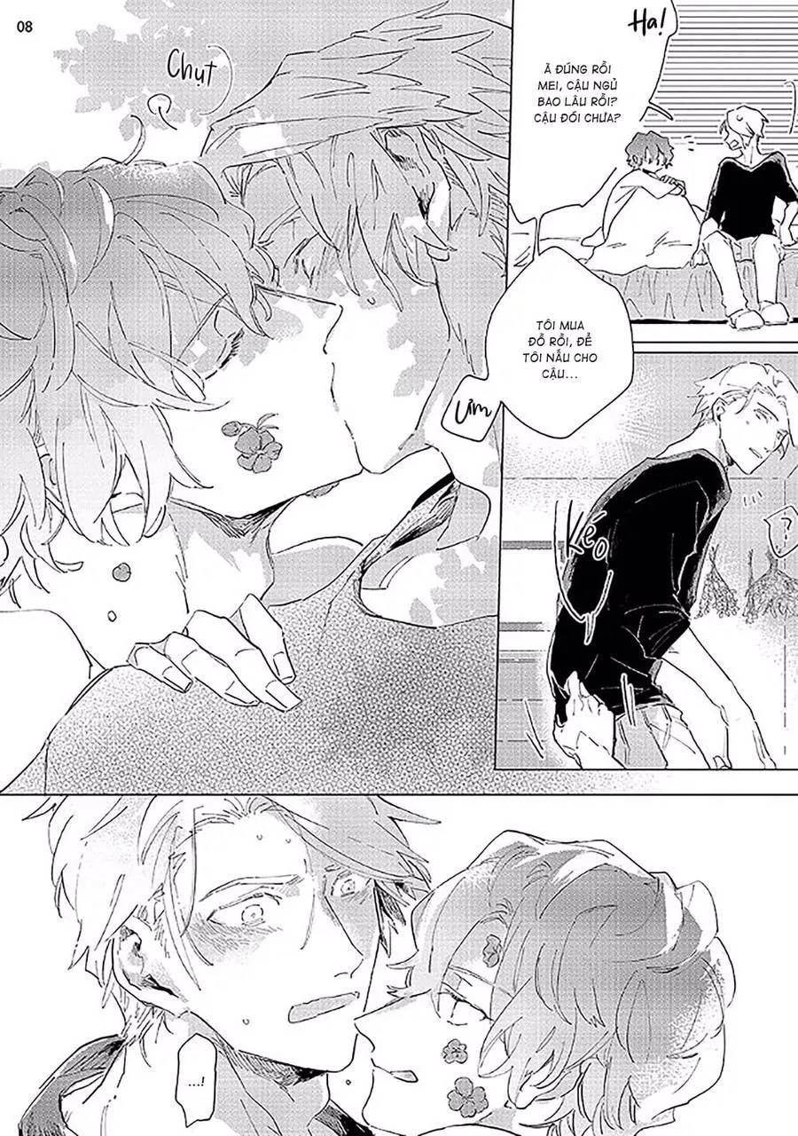 Nắng Phủ Cánh Hoa Lau HOÀN Chapter 2 Trang 8