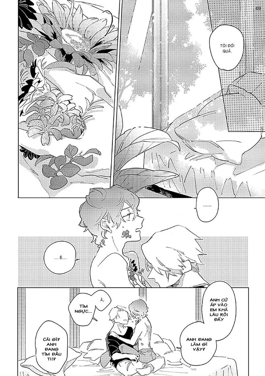 Nắng Phủ Cánh Hoa Lau HOÀN Chapter 2 Trang 9