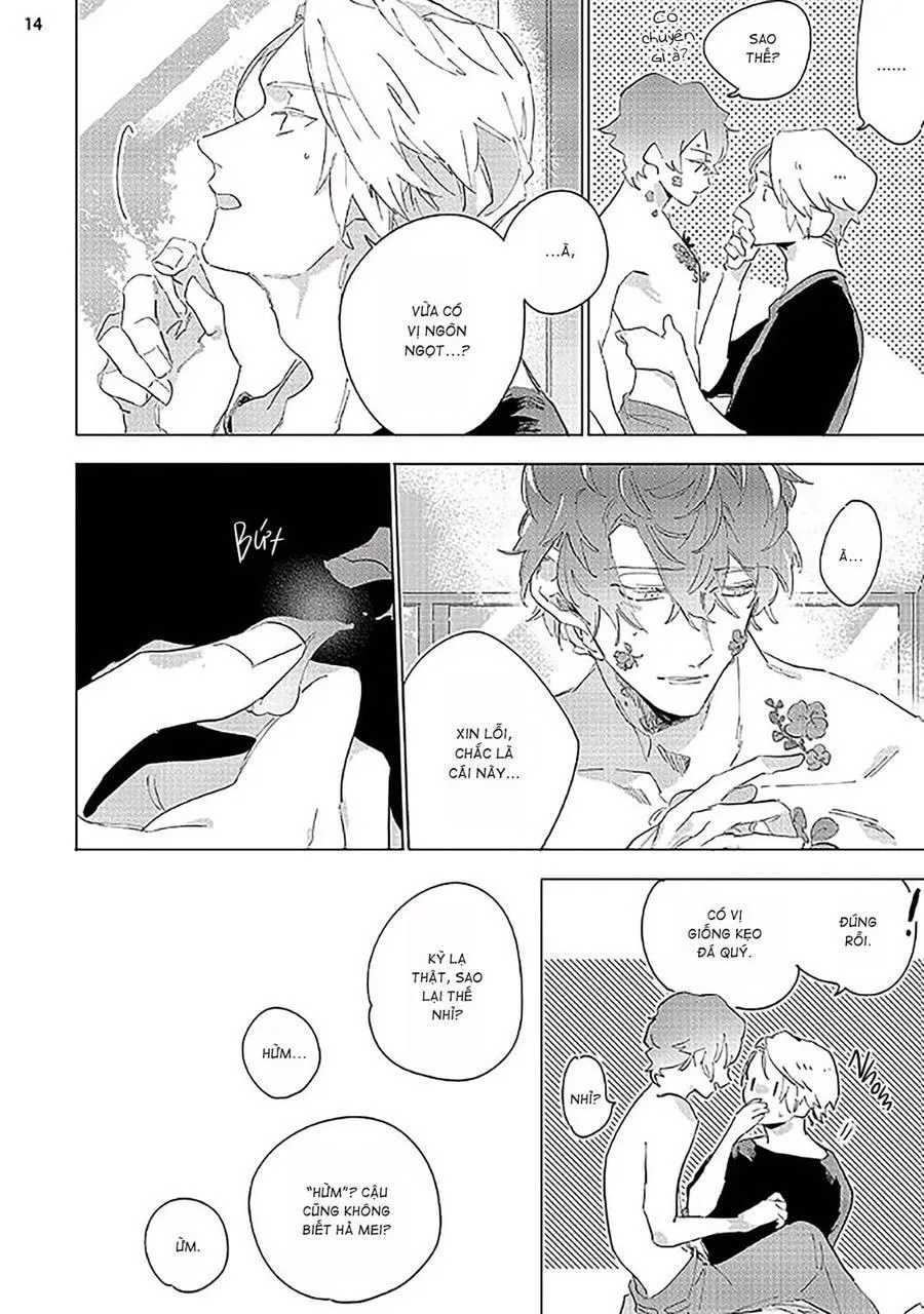 Nắng Phủ Cánh Hoa Lau HOÀN Chapter 2 Trang 14