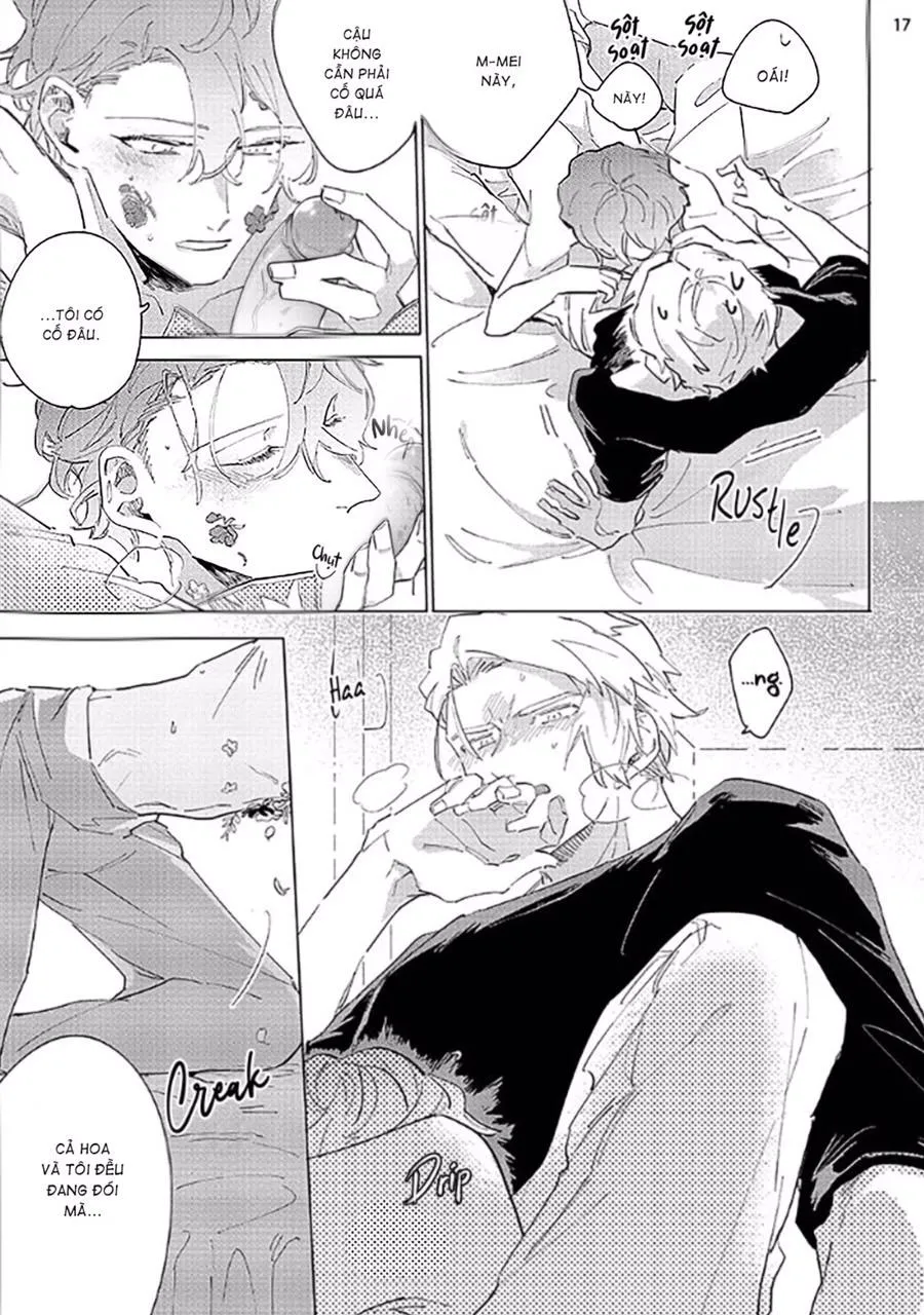 Nắng Phủ Cánh Hoa Lau HOÀN Chapter 2 Trang 17