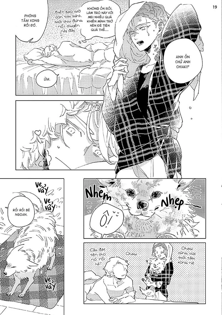 Nắng Phủ Cánh Hoa Lau HOÀN Chapter 2 Trang 19