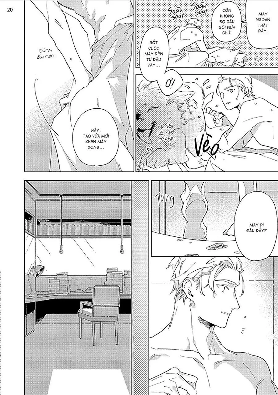 Nắng Phủ Cánh Hoa Lau HOÀN Chapter 2 Trang 20