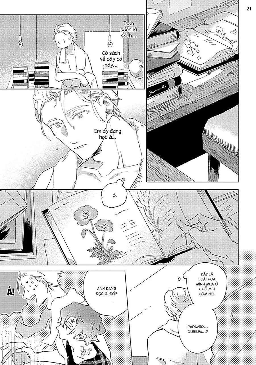 Nắng Phủ Cánh Hoa Lau HOÀN Chapter 2 Trang 21