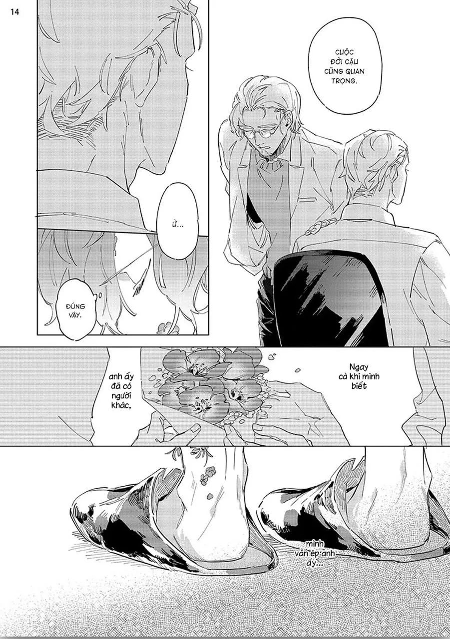 Nắng Phủ Cánh Hoa Lau HOÀN Chapter 3 Trang 14
