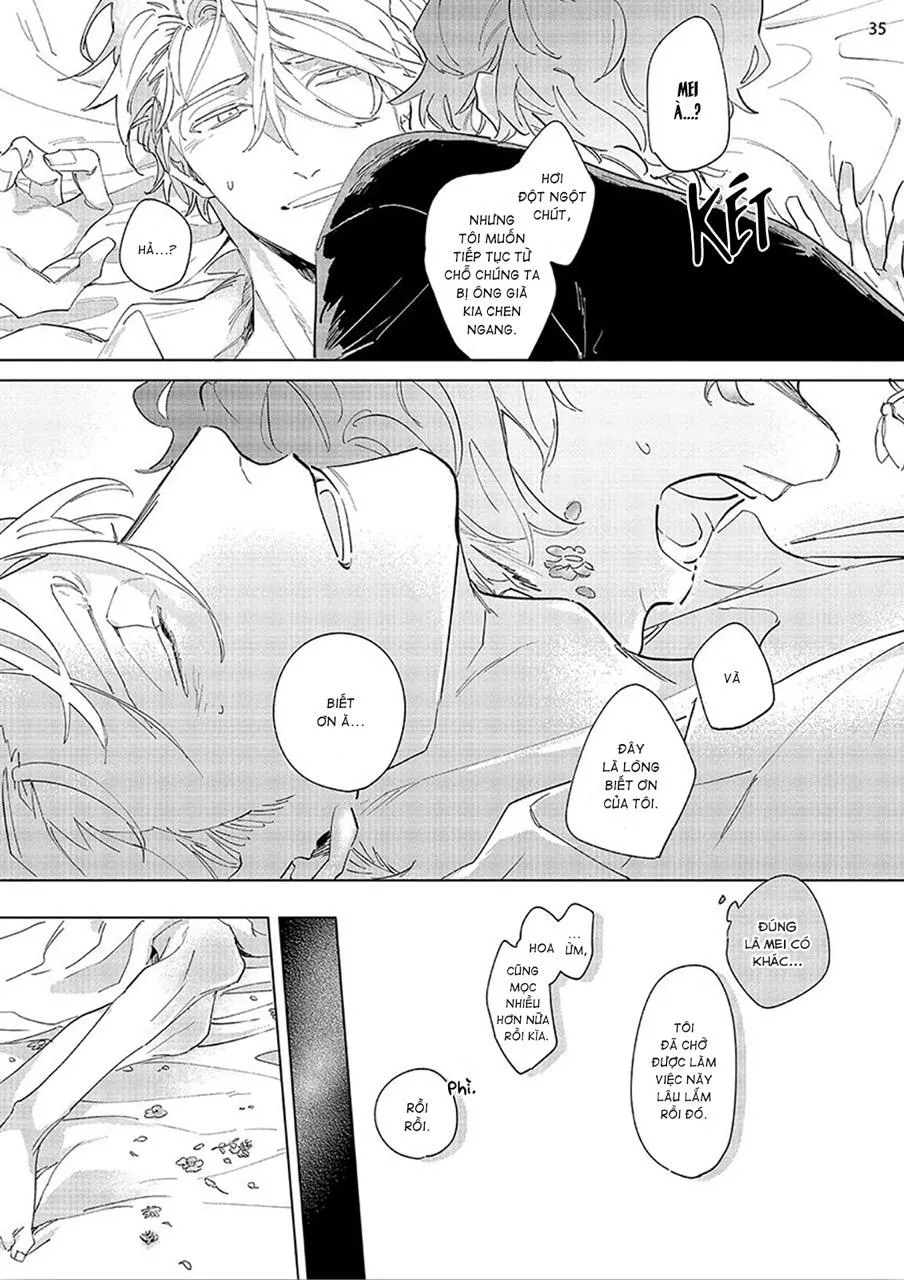 Nắng Phủ Cánh Hoa Lau HOÀN Chapter 3 Trang 35
