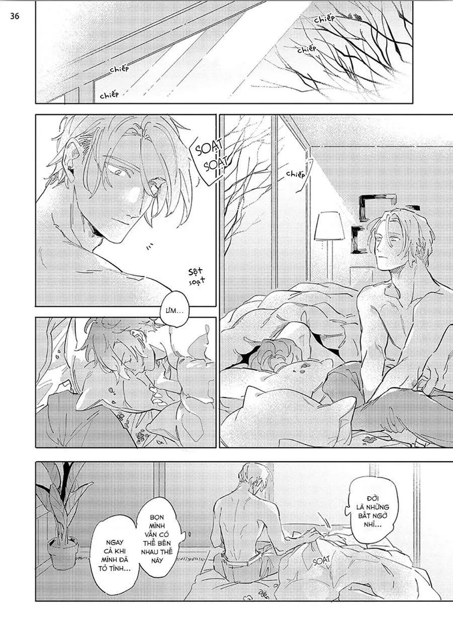 Nắng Phủ Cánh Hoa Lau HOÀN Chapter 3 Trang 36