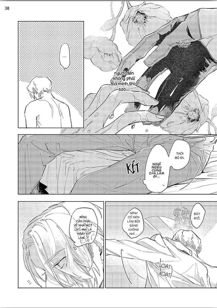 Nắng Phủ Cánh Hoa Lau HOÀN Chapter 3 Trang 37