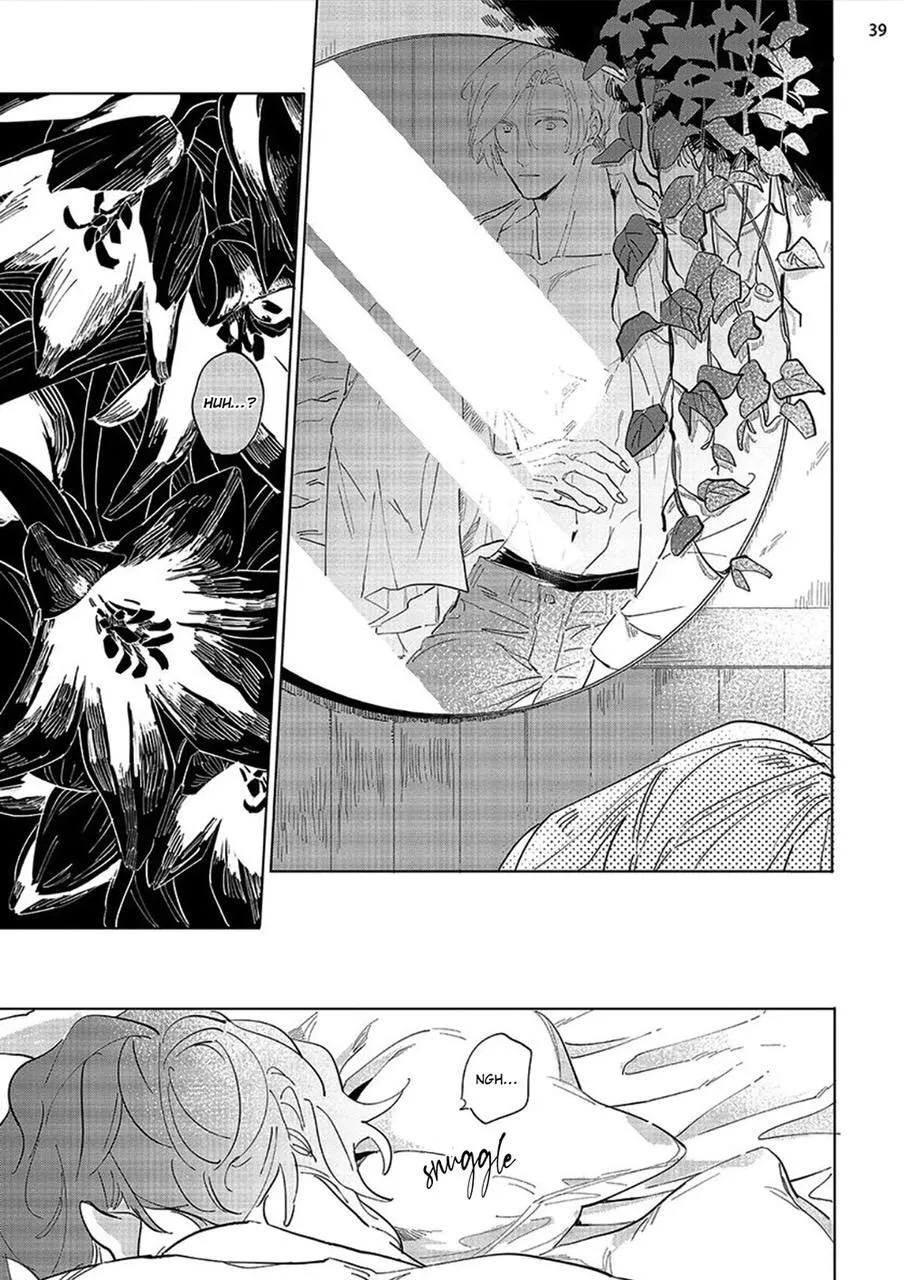 Nắng Phủ Cánh Hoa Lau HOÀN Chapter 3 Trang 38