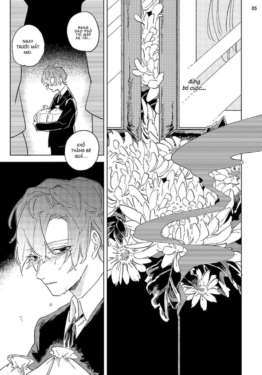 Nắng Phủ Cánh Hoa Lau HOÀN Chapter 4 Trang 5