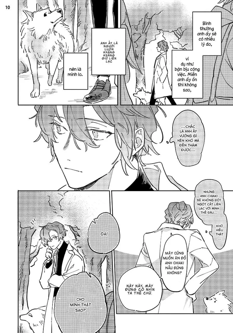 Nắng Phủ Cánh Hoa Lau HOÀN Chapter 4 Trang 10