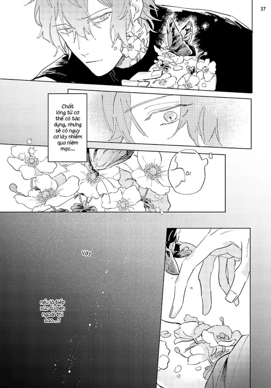 Nắng Phủ Cánh Hoa Lau HOÀN Chapter 4 Trang 37