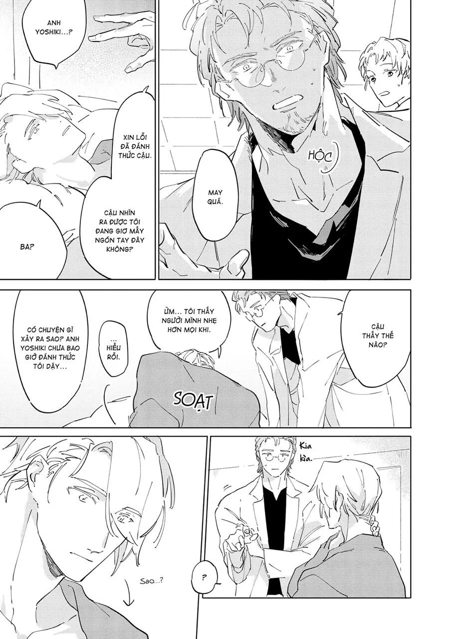 Nắng Phủ Cánh Hoa Lau HOÀN Chapter 5 Trang 3