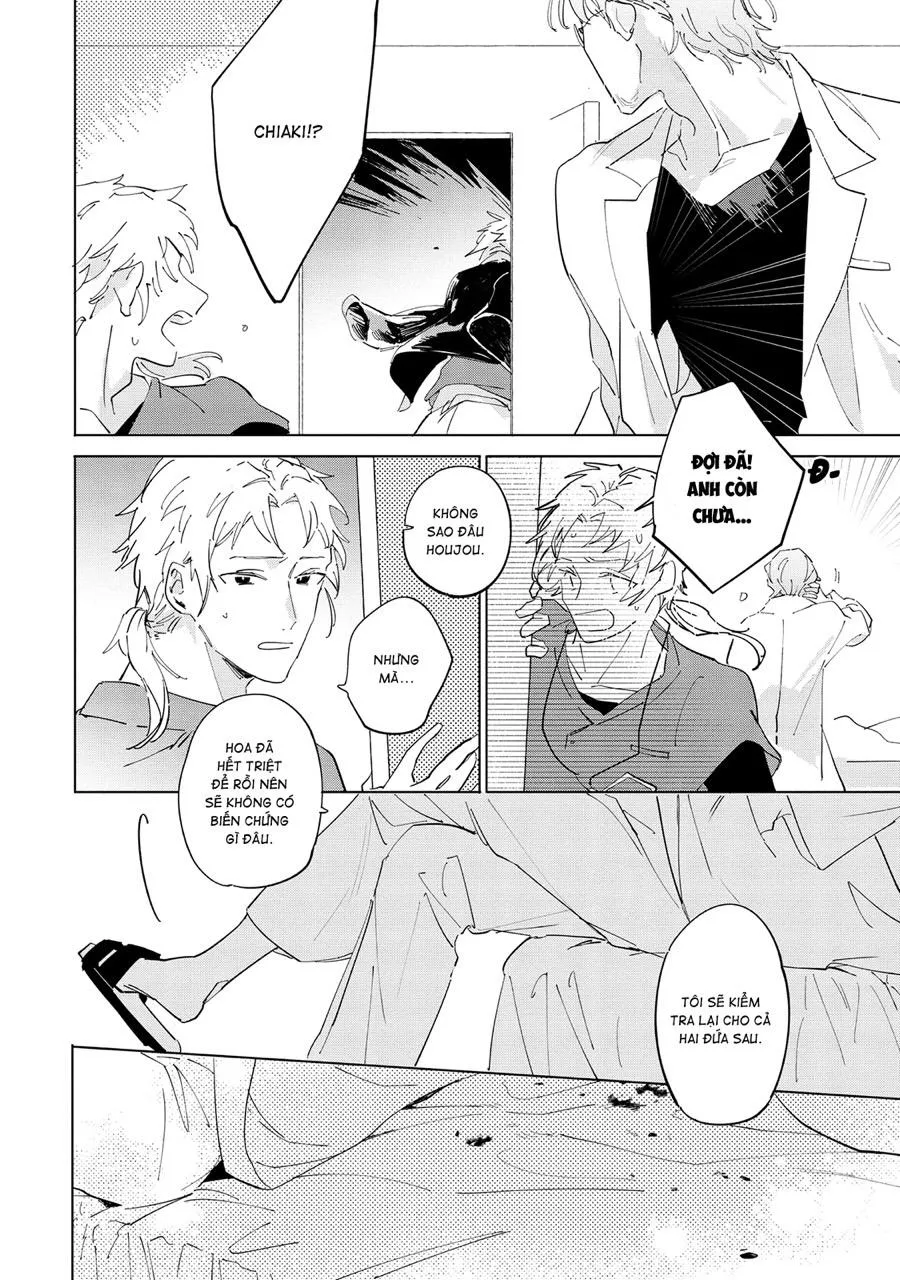 Nắng Phủ Cánh Hoa Lau HOÀN Chapter 5 Trang 6