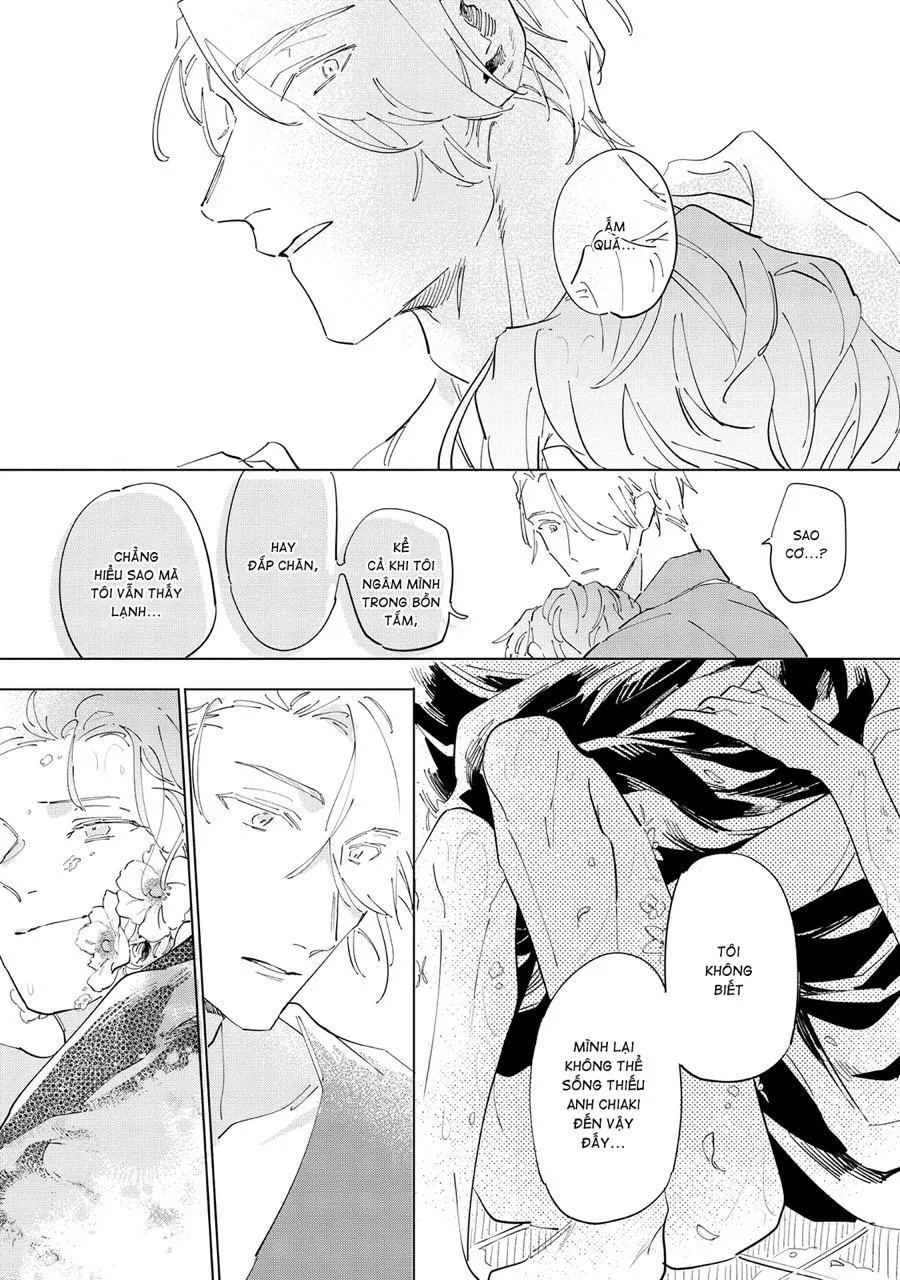 Nắng Phủ Cánh Hoa Lau HOÀN Chapter 5 Trang 11