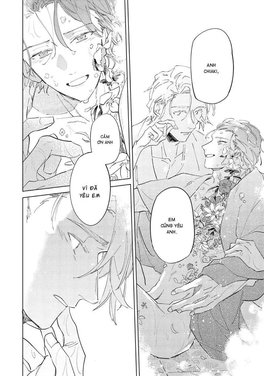 Nắng Phủ Cánh Hoa Lau HOÀN Chapter 5 Trang 12