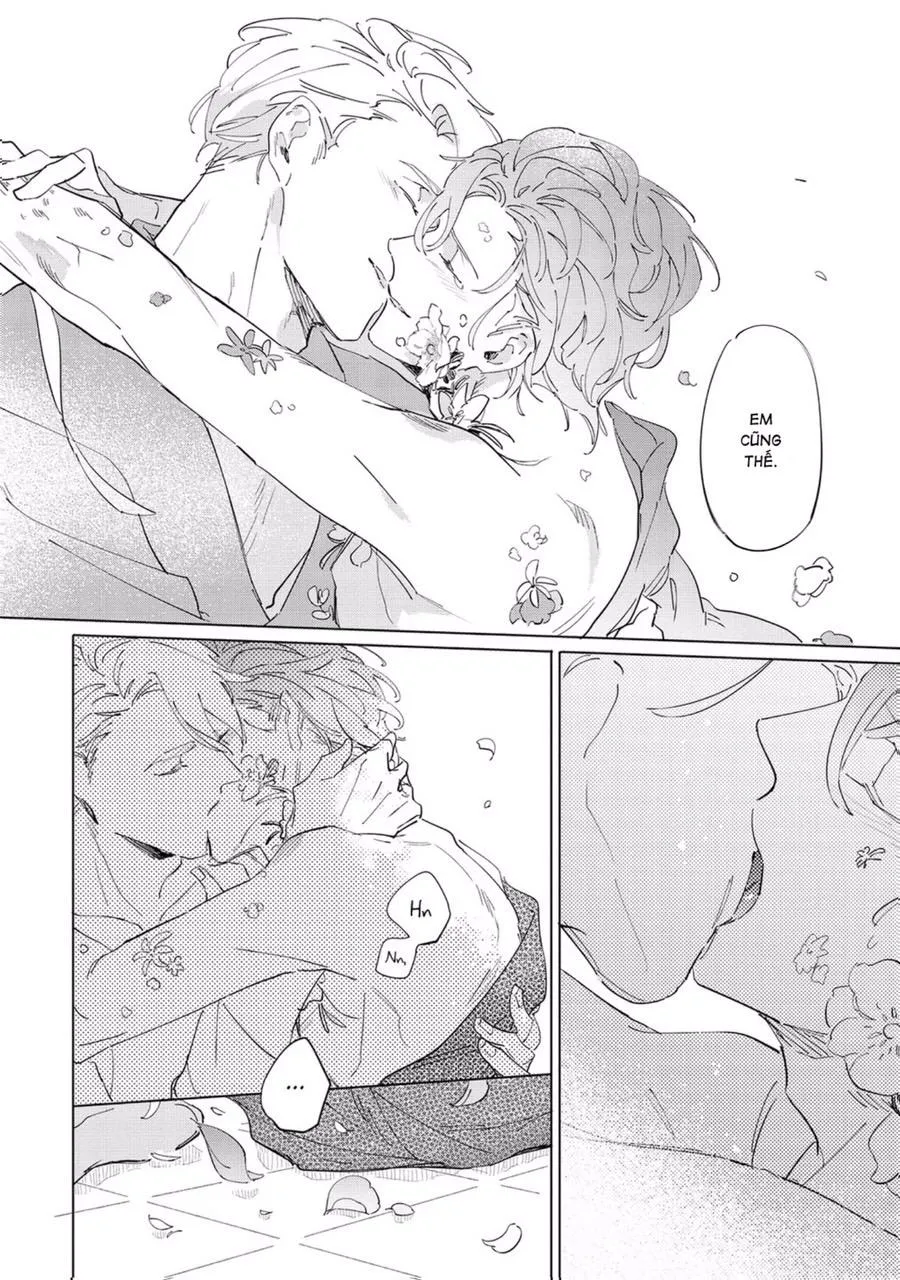 Nắng Phủ Cánh Hoa Lau HOÀN Chapter 5 Trang 14