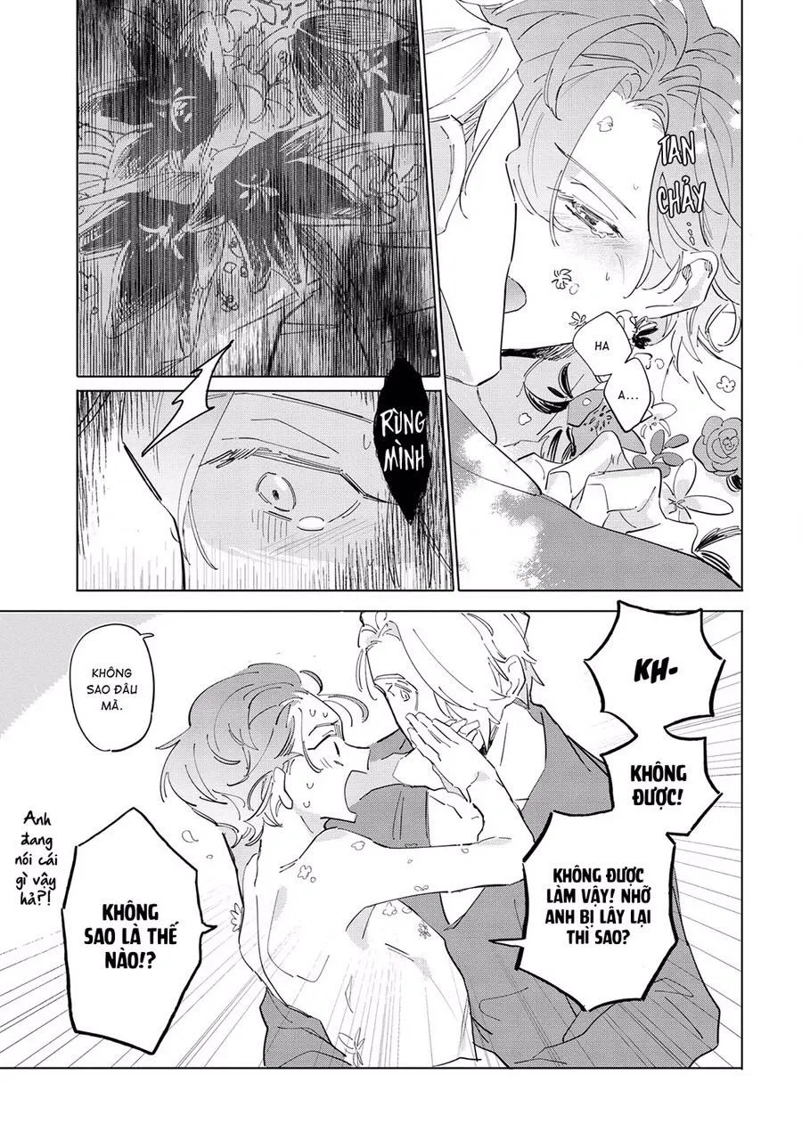 Nắng Phủ Cánh Hoa Lau HOÀN Chapter 5 Trang 15