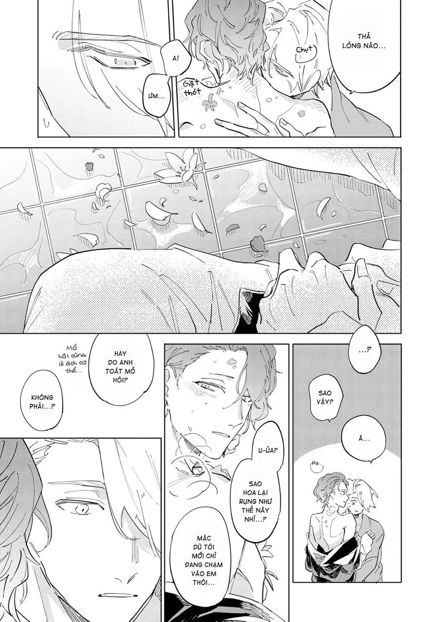 Nắng Phủ Cánh Hoa Lau HOÀN Chapter 5 Trang 21