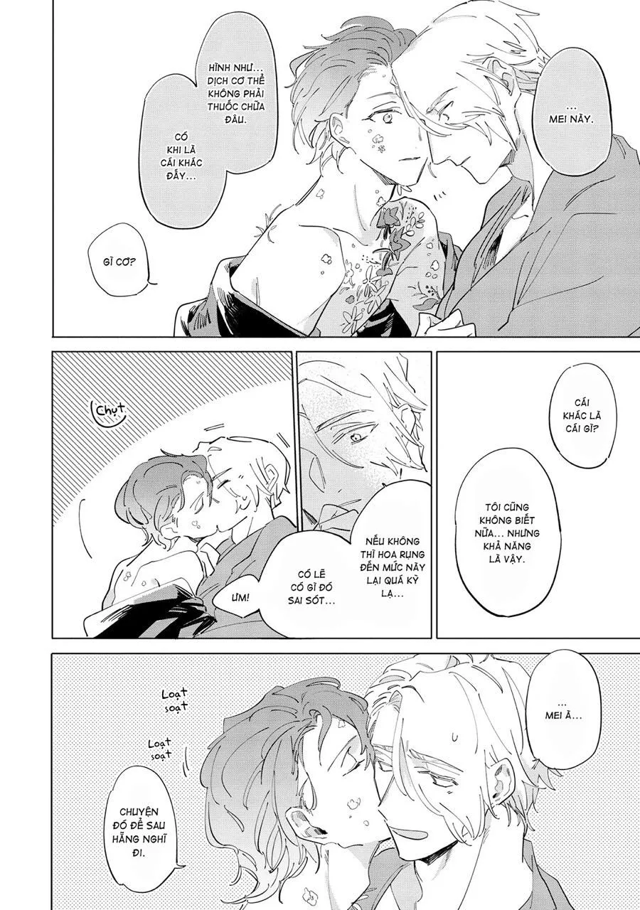 Nắng Phủ Cánh Hoa Lau HOÀN Chapter 5 Trang 22