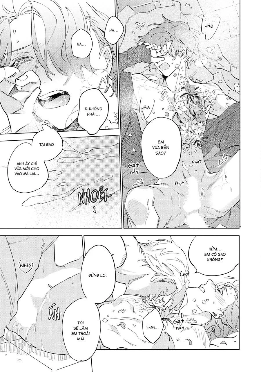 Nắng Phủ Cánh Hoa Lau HOÀN Chapter 5 Trang 25