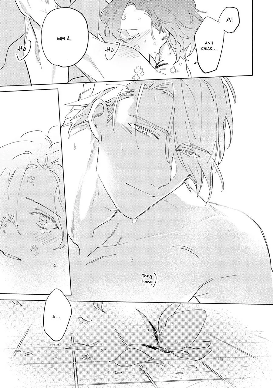 Nắng Phủ Cánh Hoa Lau HOÀN Chapter 5 Trang 27